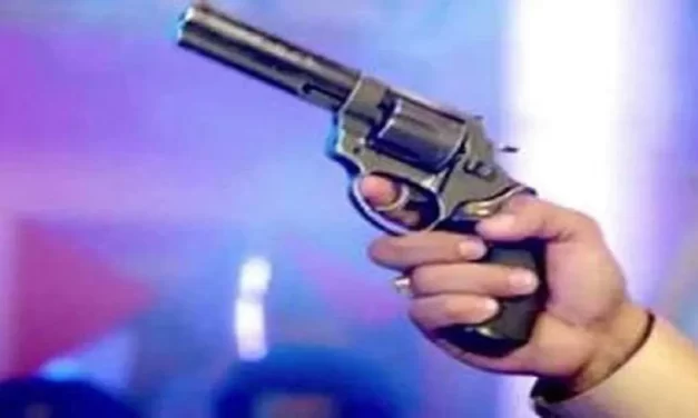 सुभाष नगर में कार पर ताबड़तोड़ फायरिंग में दो घायल, देखें इस हमले का वीडियो