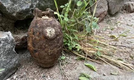 दिल्ली: मोहम्मदपुर में हैंड ग्रेनेड मिलने से हड़कंप, बम स्क्वॉड टीम कर रही जांच