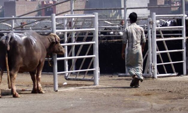 दिल्ली का गाजीपुर बूचड़खाना तीन दिनों के लिए बंद, मेयर ने किया मुआयना