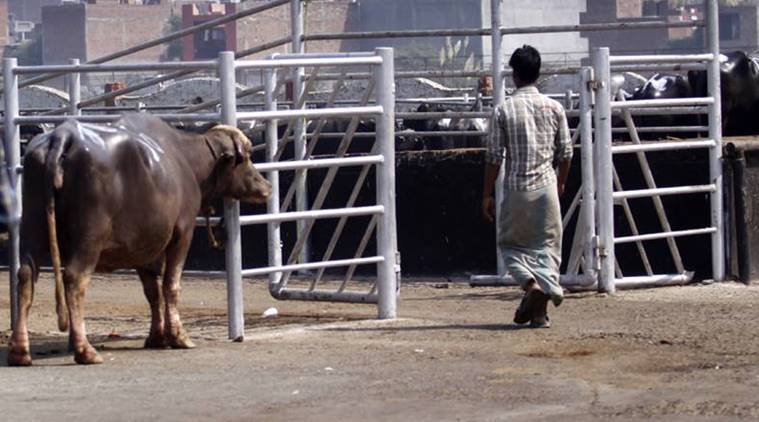 दिल्ली का गाजीपुर बूचड़खाना तीन दिनों के लिए बंद, मेयर ने किया मुआयना