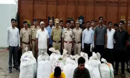 OMG! हरियाणा में 474 किलो गांजा पकड़ा, कंटेनर में छिपाकर उड़ीसा से ला रहे थे आरोपी