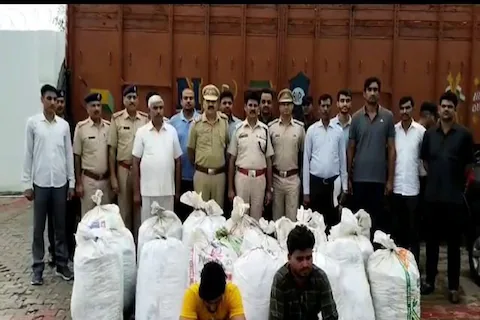 OMG! हरियाणा में 474 किलो गांजा पकड़ा, कंटेनर में छिपाकर उड़ीसा से ला रहे थे आरोपी